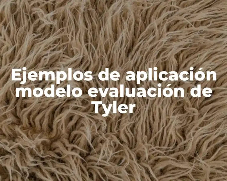 Ejemplos de aplicación modelo evaluación de Tyler