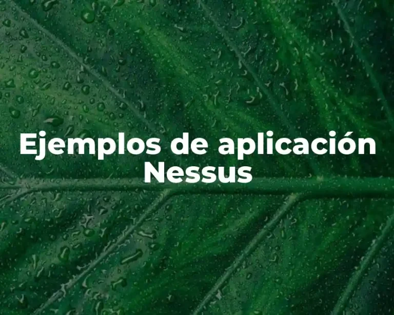 Ejemplos de aplicación Nessus