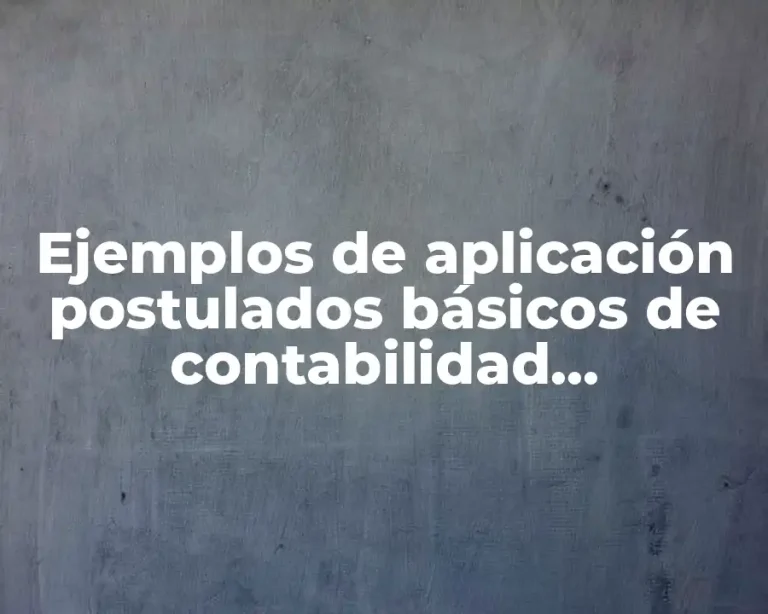 Ejemplos de aplicación postulados básicos de contabilidad gubernamental