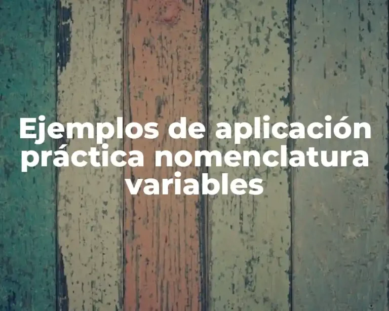 Ejemplos de aplicación práctica nomenclatura variables