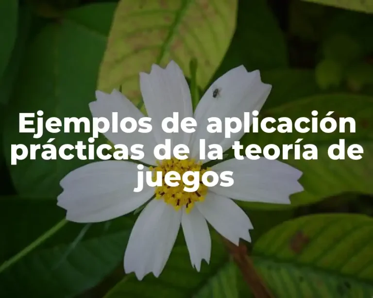 Ejemplos de aplicación prácticas de la teoría de juegos