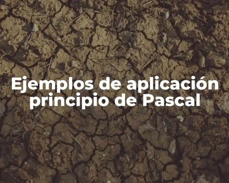 Ejemplos de aplicación principio de Pascal