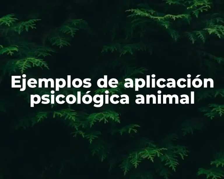 Ejemplos de aplicación psicológica animal