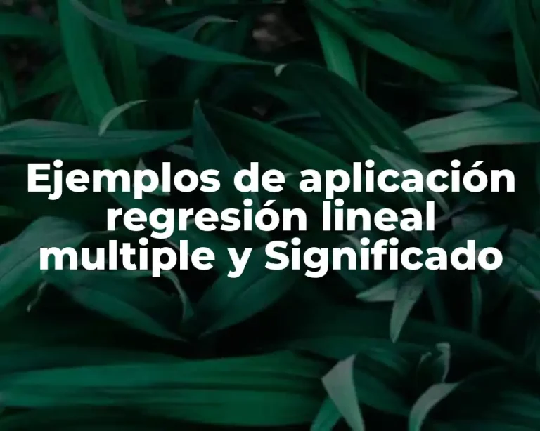 Ejemplos de aplicación regresión lineal multiple y Significado