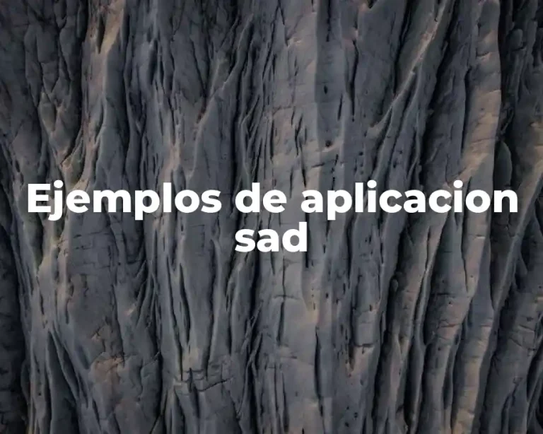 Ejemplos de aplicacion sad