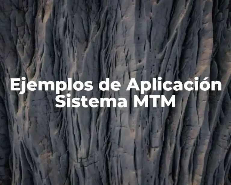 Ejemplos de Aplicación Sistema MTM