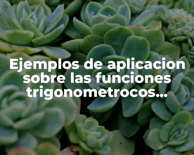 Ejemplos de aplicacion sobre las funciones trigonometrocos reciprocas