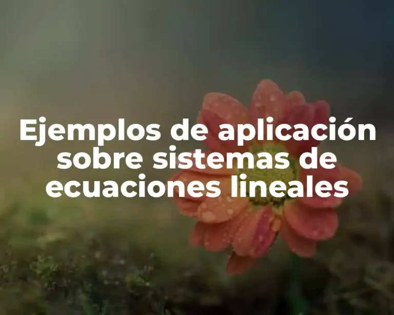Ejemplos de aplicación sobre sistemas de ecuaciones lineales
