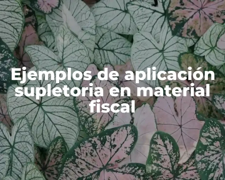 Ejemplos de aplicación supletoria en material fiscal