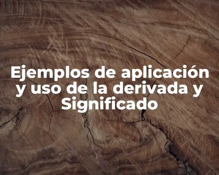 Ejemplos de aplicación y uso de la derivada y Significado