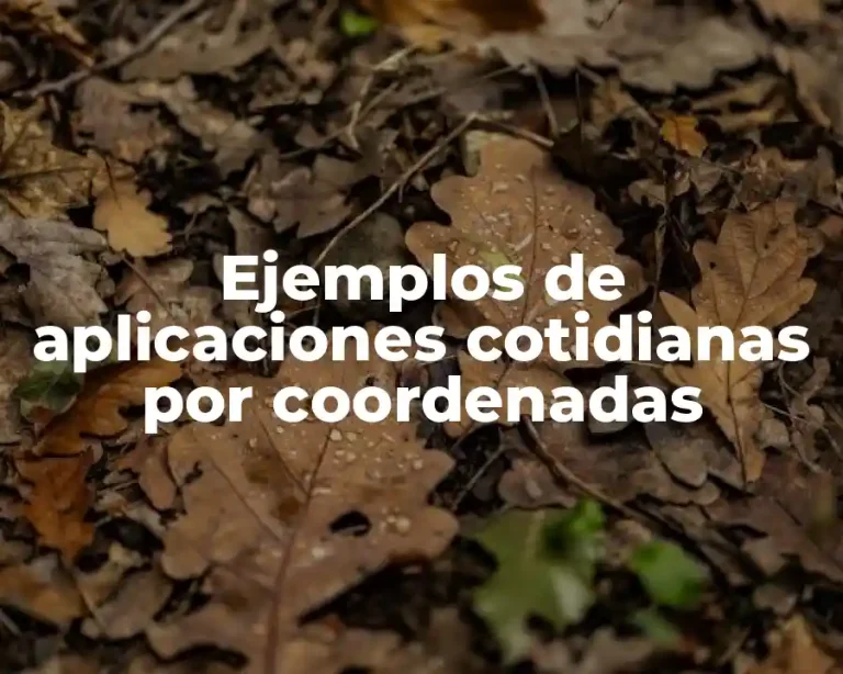 Ejemplos de aplicaciones cotidianas por coordenadas