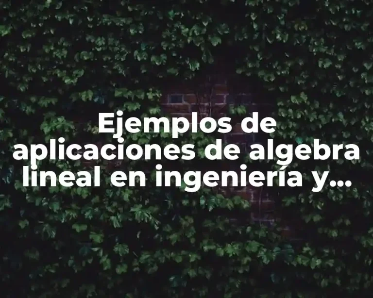 Ejemplos de aplicaciones de algebra lineal en ingeniería y Significado