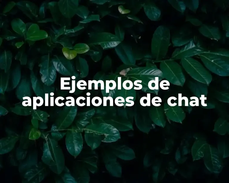 Ejemplos de aplicaciones de chat