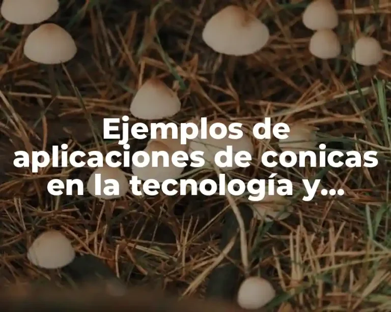 Ejemplos de aplicaciones de conicas en la tecnología y Significado