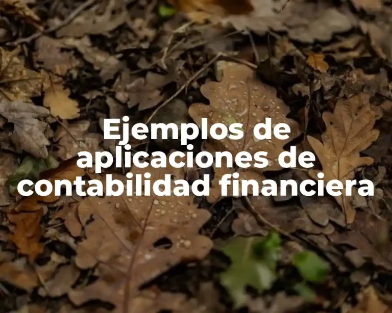 Ejemplos de aplicaciones de contabilidad financiera