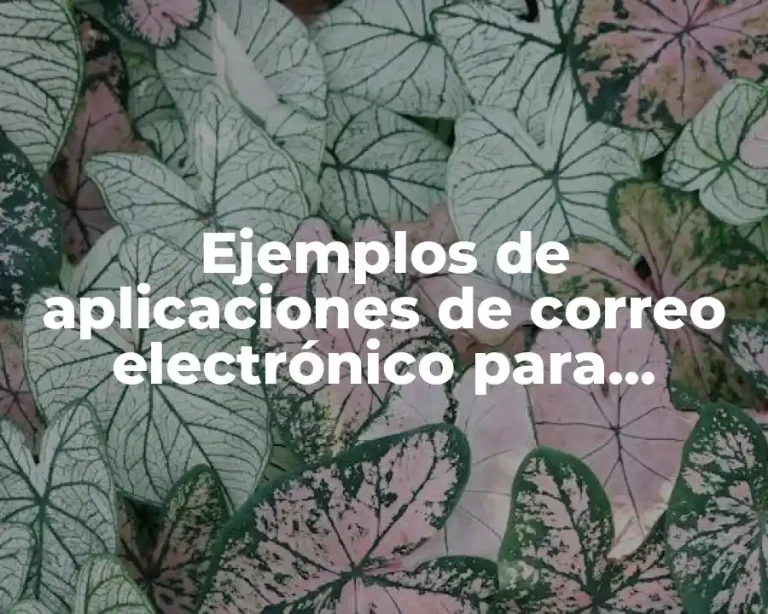 Ejemplos de aplicaciones de correo electrónico para dispositivos móviles