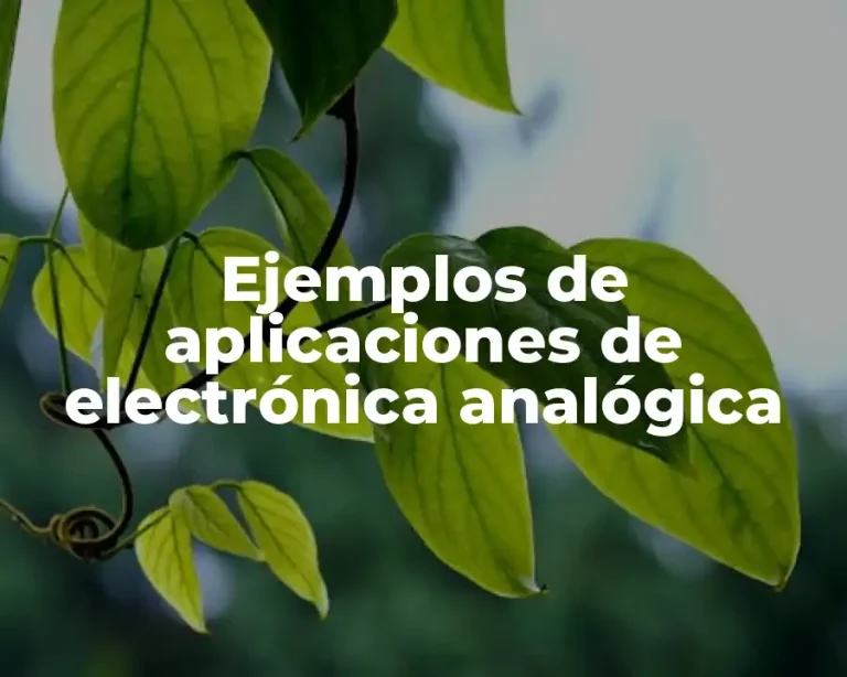 Ejemplos de aplicaciones de electrónica analógica