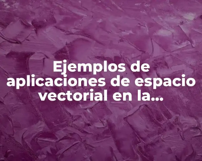 Ejemplos de aplicaciones de espacio vectorial en la ingeniería y Significado