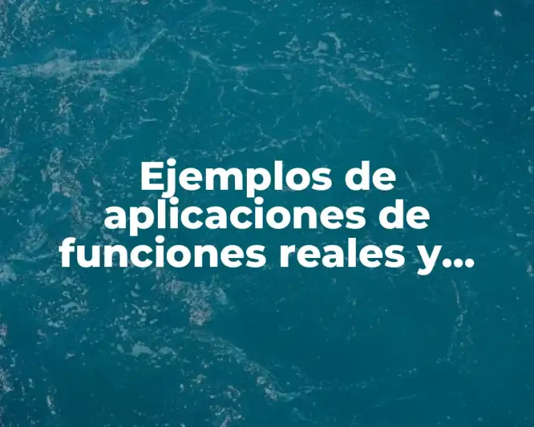 Ejemplos de aplicaciones de funciones reales y Significado