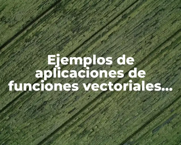 Ejemplos de aplicaciones de funciones vectoriales en la ingeniería