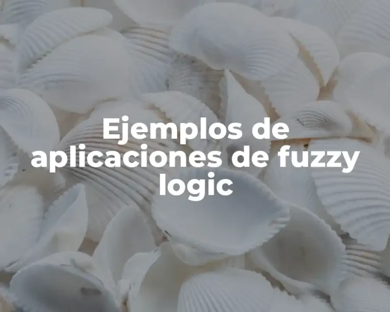 Ejemplos de aplicaciones de fuzzy logic