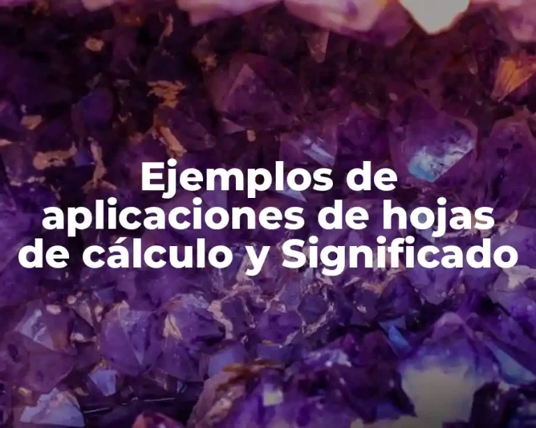 Ejemplos de aplicaciones de hojas de cálculo y Significado