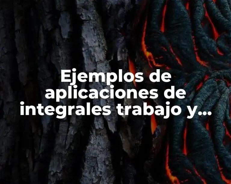 Ejemplos de aplicaciones de integrales trabajo y Significado