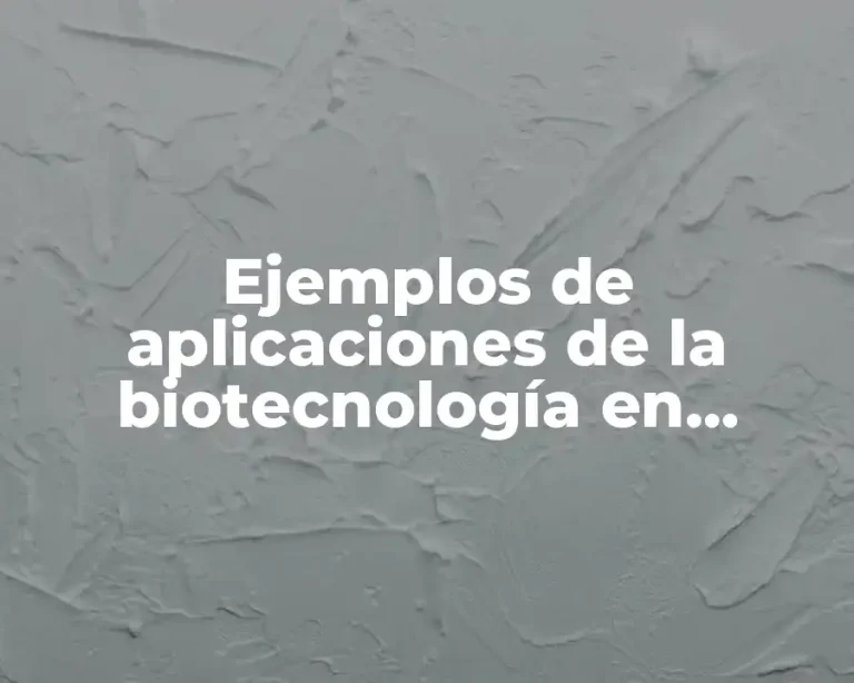 Ejemplos de aplicaciones de la biotecnología en alimentos y Significado
