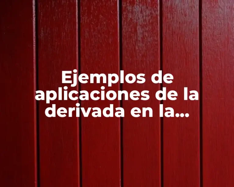 Ejemplos de aplicaciones de la derivada en la administración