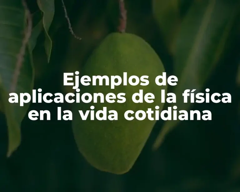 Ejemplos de aplicaciones de la física en la vida cotidiana