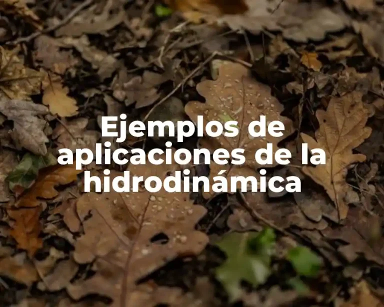Ejemplos de aplicaciones de la hidrodinámica