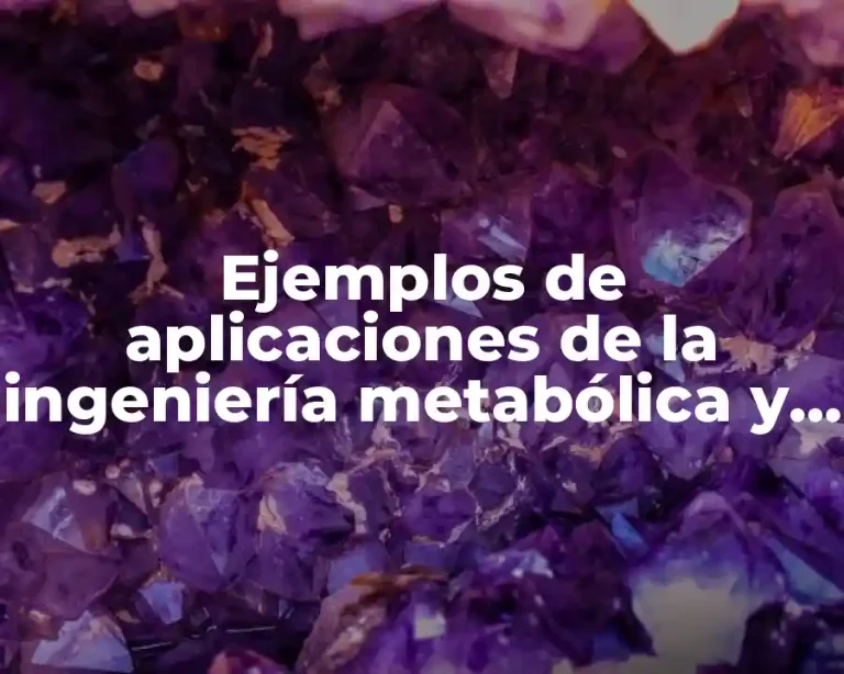 Ejemplos de aplicaciones de la ingeniería metabólica y Significado