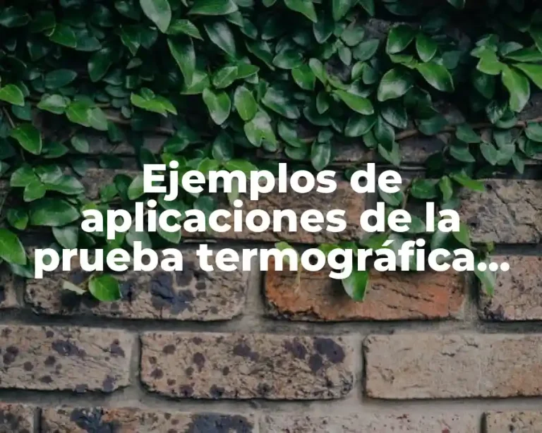 Ejemplos de aplicaciones de la prueba termográfica infrarroja