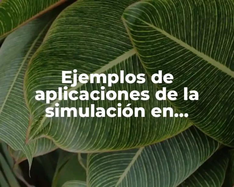 Ejemplos de aplicaciones de la simulación en ingeniería de sistemas