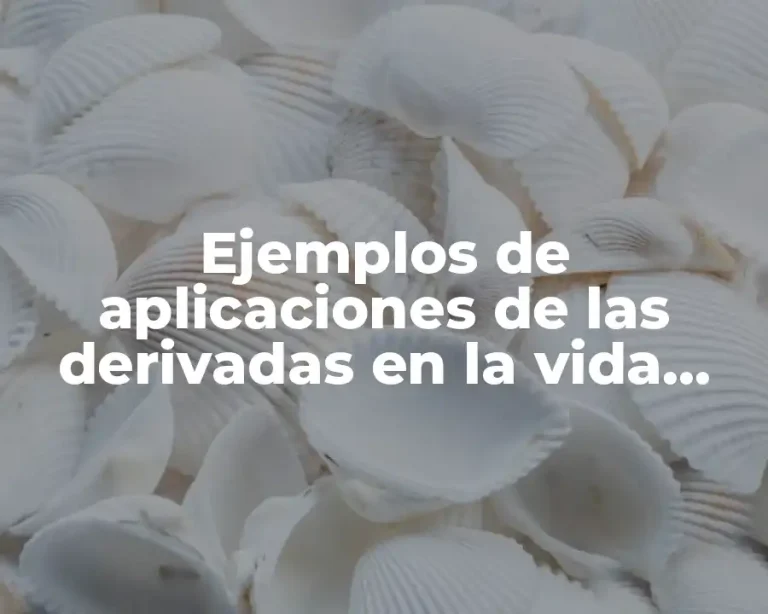 Ejemplos de aplicaciones de las derivadas en la vida real y Significado