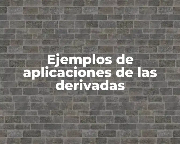 Ejemplos de aplicaciones de las derivadas