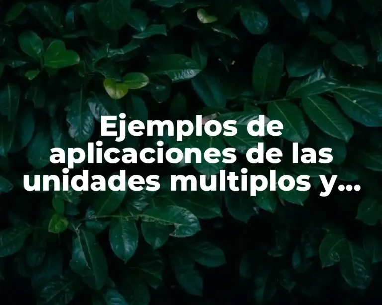 Ejemplos de aplicaciones de las unidades multiplos y submultiplos y Significado