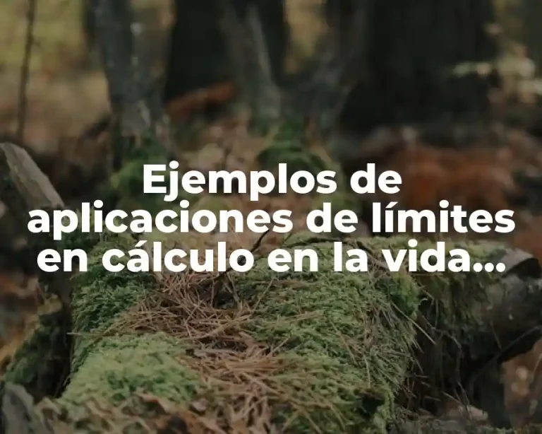 Ejemplos de aplicaciones de límites en cálculo en la vida cotidiana