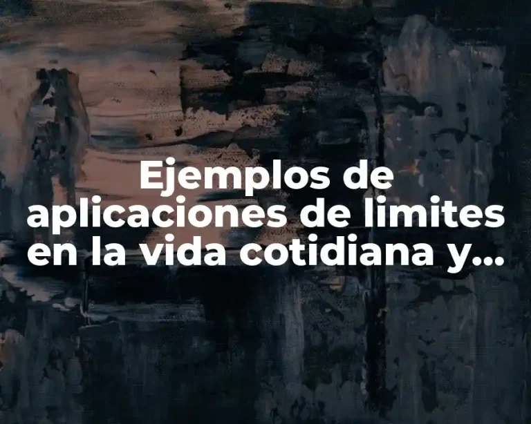 Ejemplos de aplicaciones de limites en la vida cotidiana y Significado