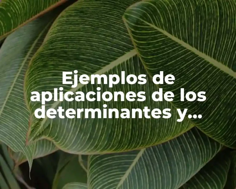 Ejemplos de aplicaciones de los determinantes y Significado