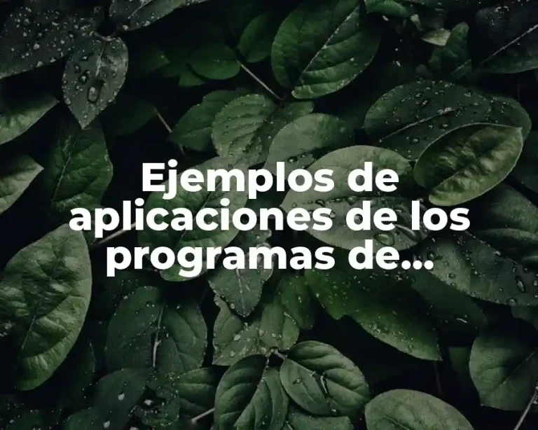 Ejemplos de aplicaciones de los programas de computación y Significado