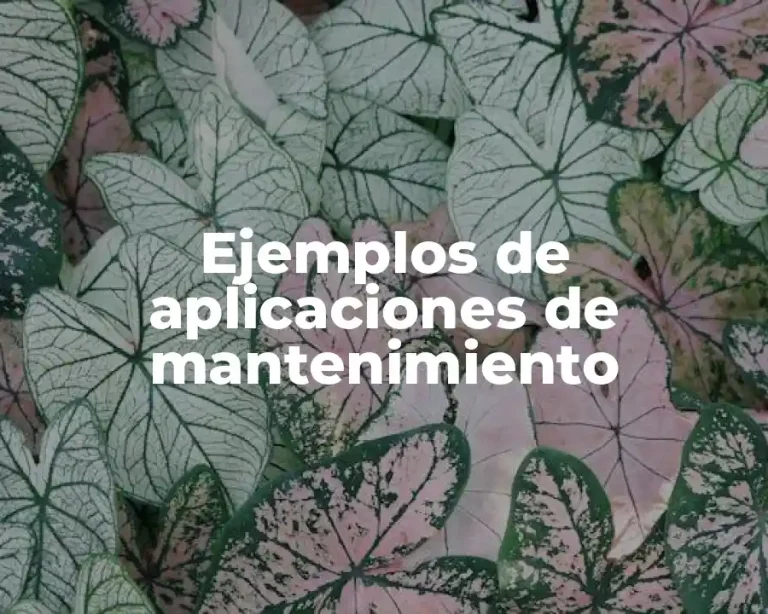 Ejemplos de aplicaciones de mantenimiento
