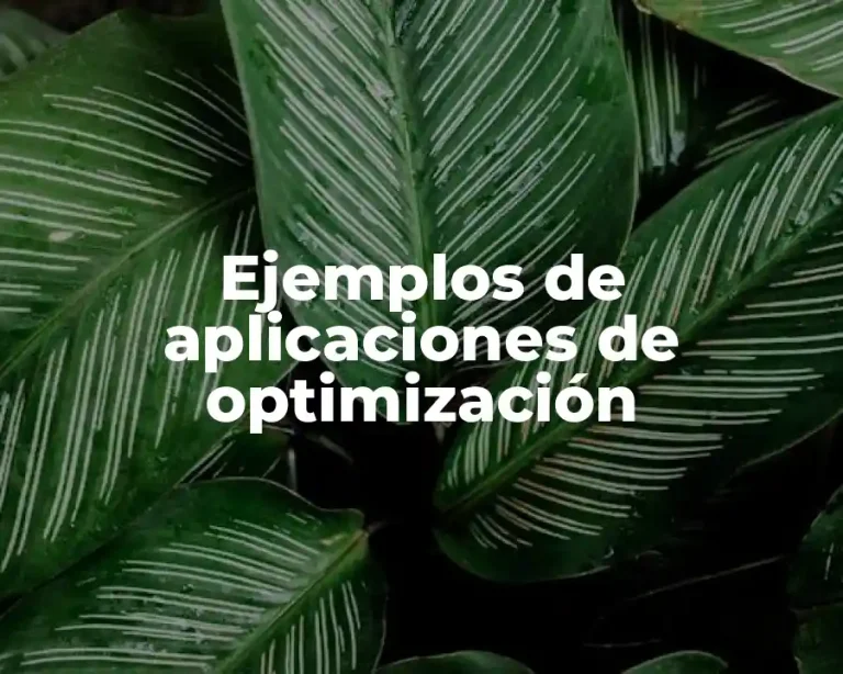 Ejemplos de aplicaciones de optimización