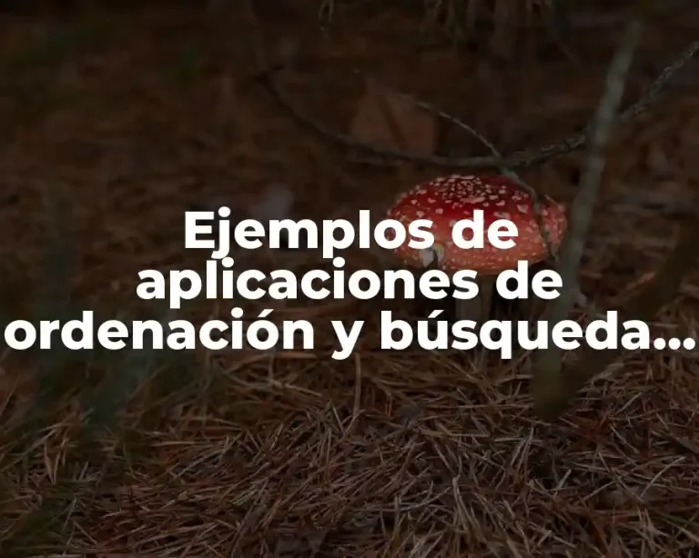 Ejemplos de aplicaciones de ordenación y búsqueda para el software y Significado