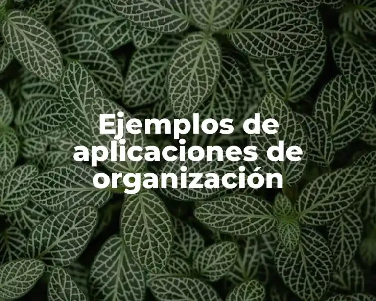 Ejemplos de aplicaciones de organización