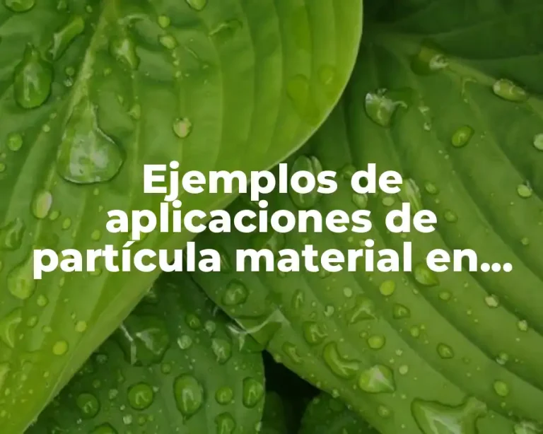 Ejemplos de aplicaciones de partícula material en movimiento