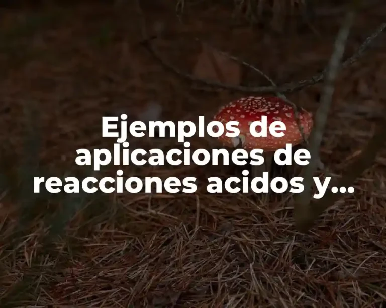 Ejemplos de aplicaciones de reacciones acidos y bases