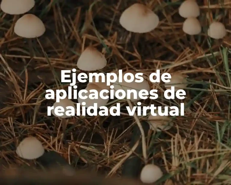 Ejemplos de aplicaciones de realidad virtual