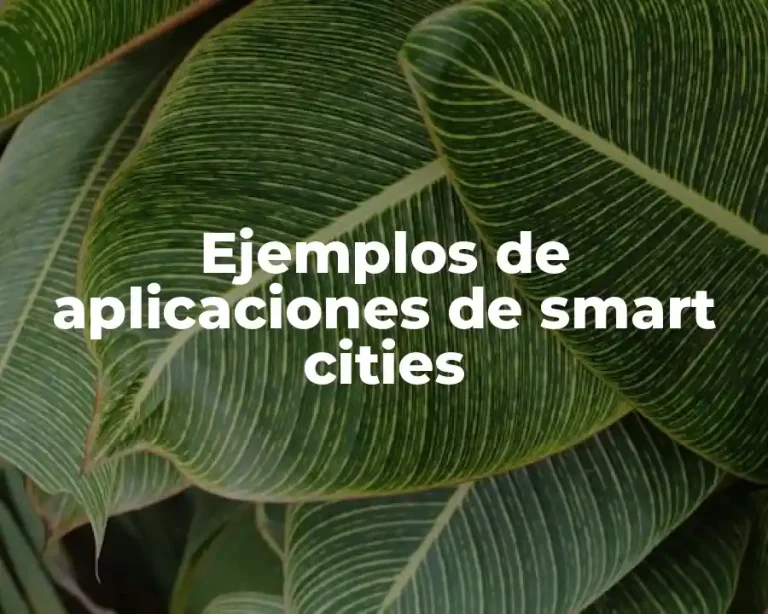 Ejemplos de aplicaciones de smart cities