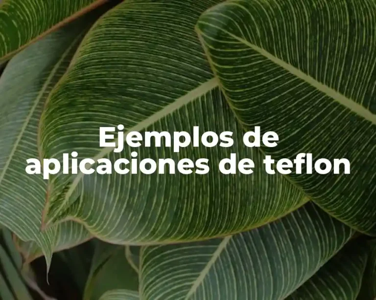 Ejemplos de aplicaciones de teflon